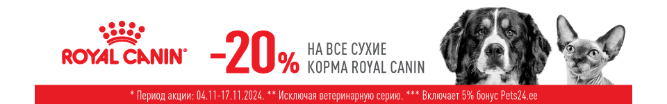 241107 - RC -20% - RUS